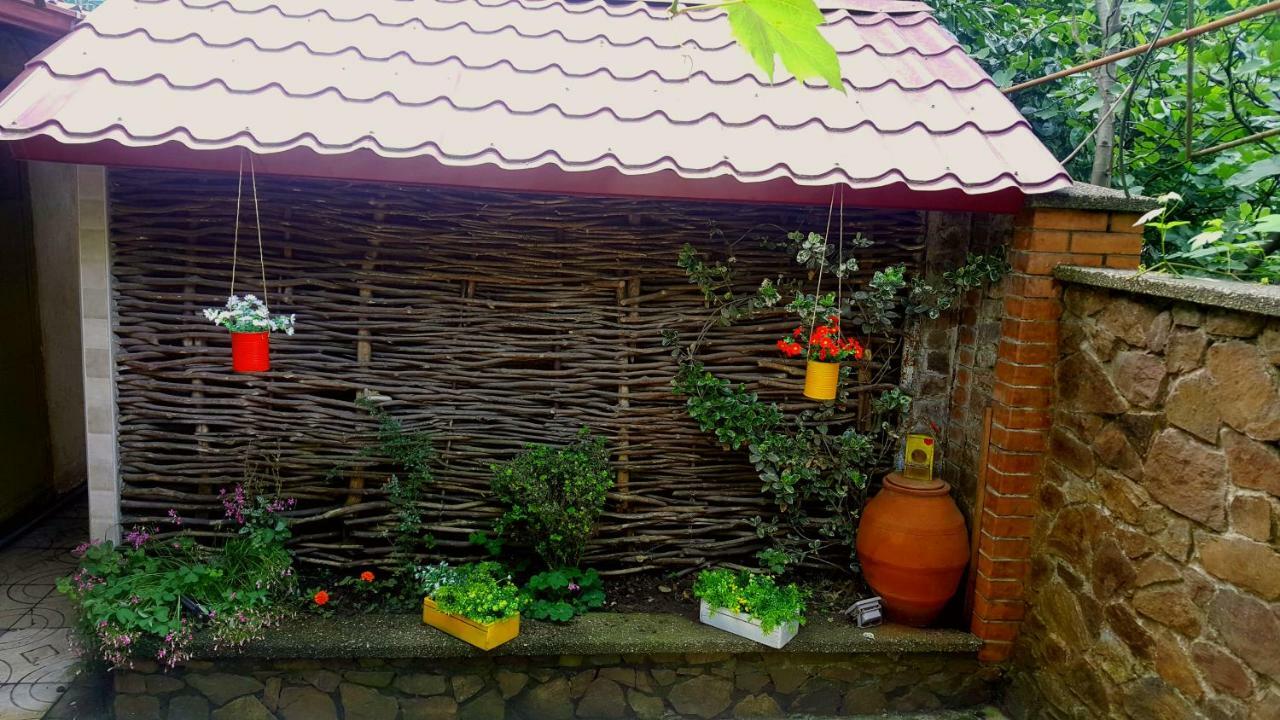 Green House In 巴统 外观 照片